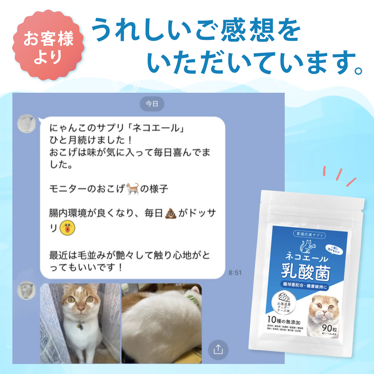 【獣医師監修】愛猫の腸活を応援する やさしい乳酸菌タブレット(北海道産チェダーチーズ味)90粒入り