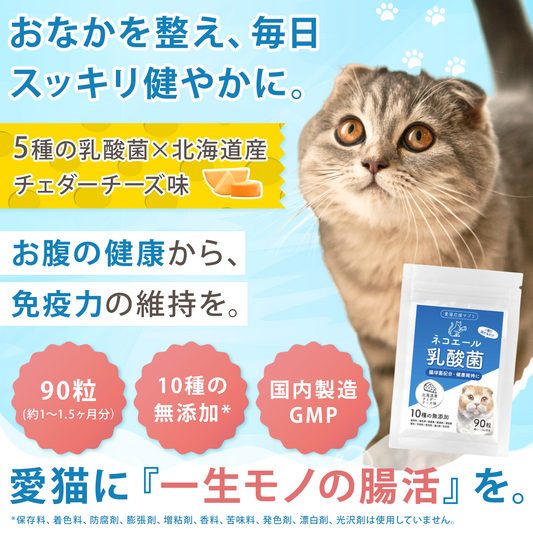 【獣医師監修】愛猫の腸活を応援する やさしい乳酸菌タブレット（北海道産チェダーチーズ味）９０粒入り