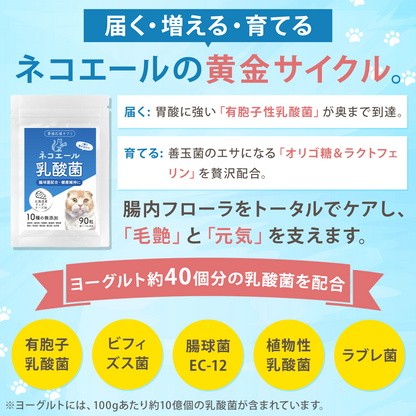 【獣医師監修】愛猫の腸活を応援する やさしい乳酸菌タブレット（北海道産チェダーチーズ味）９０粒入り