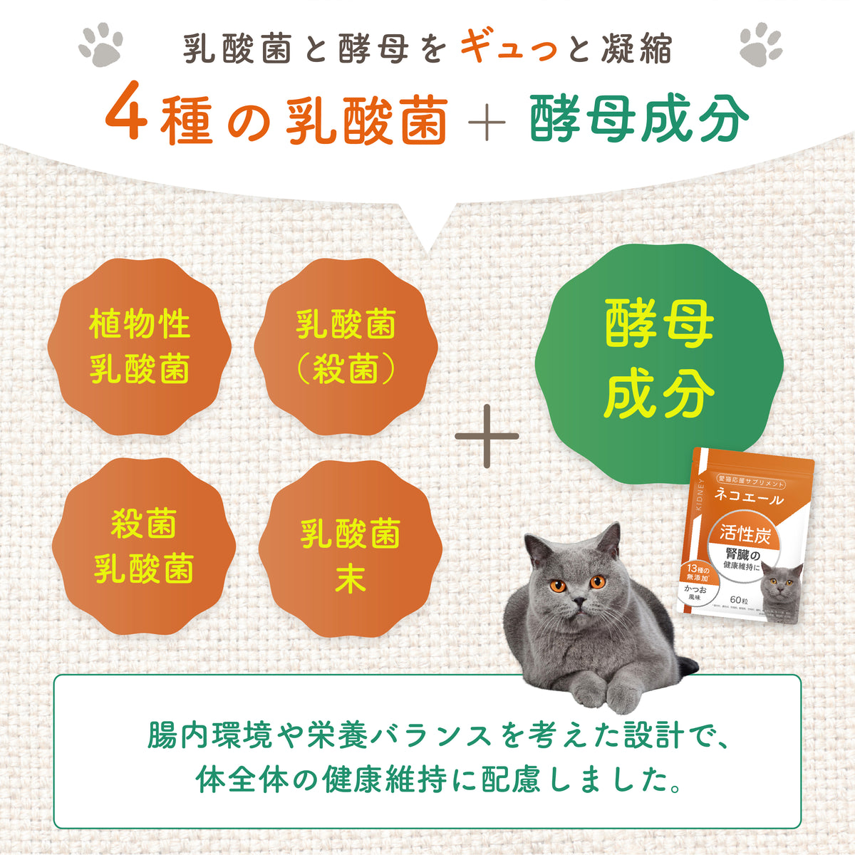 毎日がんばる猫の腎臓にエールを送る 活性炭タブレット（かつお味）６０粒入り
