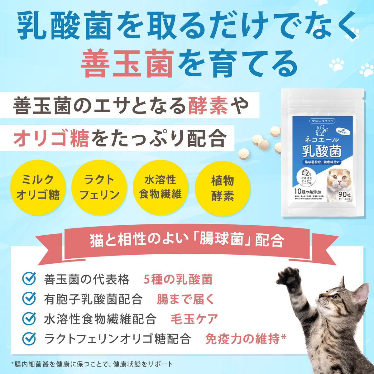 【獣医師監修】愛猫の腸活を応援する やさしい乳酸菌タブレット（北海道産チェダーチーズ味）９０粒入り