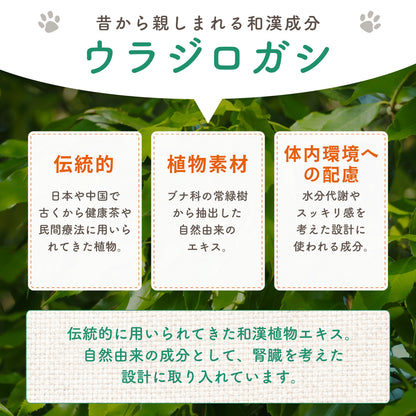 毎日がんばる猫の腎臓にエールを送る 活性炭タブレット（かつお味）６０粒入り
