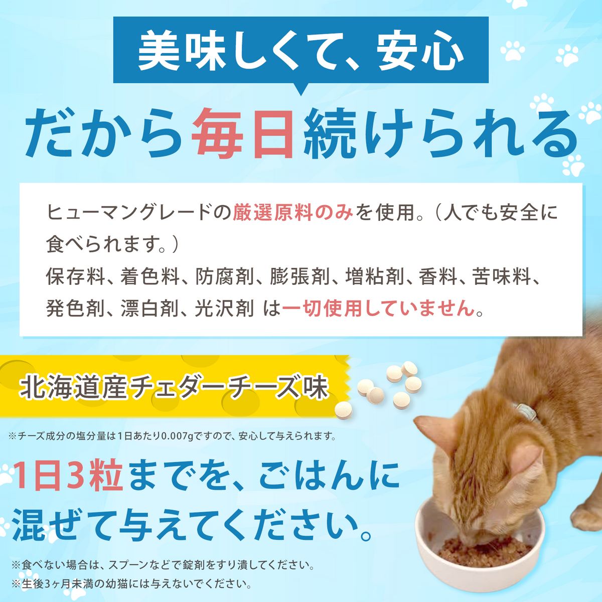 【獣医師監修】愛猫の腸活を応援する やさしい乳酸菌タブレット（北海道産チェダーチーズ味）９０粒入り