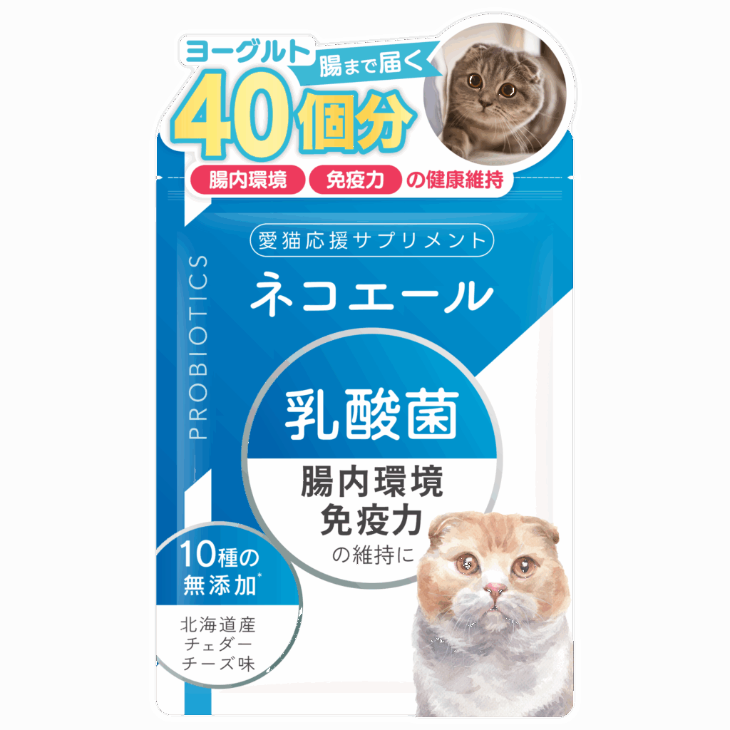 猫用＿乳酸菌サプリメント